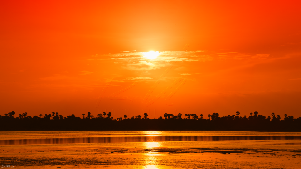 Golden Sunset